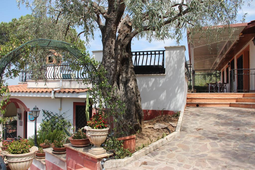 Millenovecento Apartamento Tivoli Exterior foto